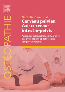 Cerveau pelvien - axe cerveau-intestin-pelvis