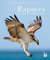Rapaces: Les maîtres du ciel