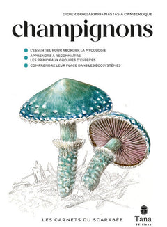 Les Carnets du Scarabée - Champignons