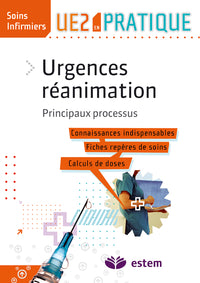 Urgences-réanimation - Principaux processus