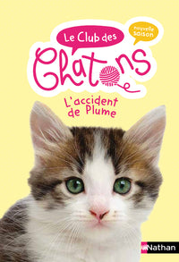 L'Accident de Plume