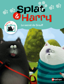 Splat et Harry - tome 7 Le secret de Grouff