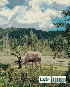 Mathieu Mestokosho, chasseur innu