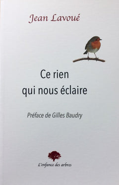 Ce rien qui nous éclaire