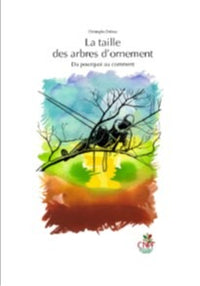 La taille des arbres d'ornement