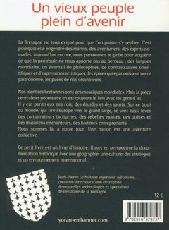 Histoire de Bretagne - Le point de vue breton