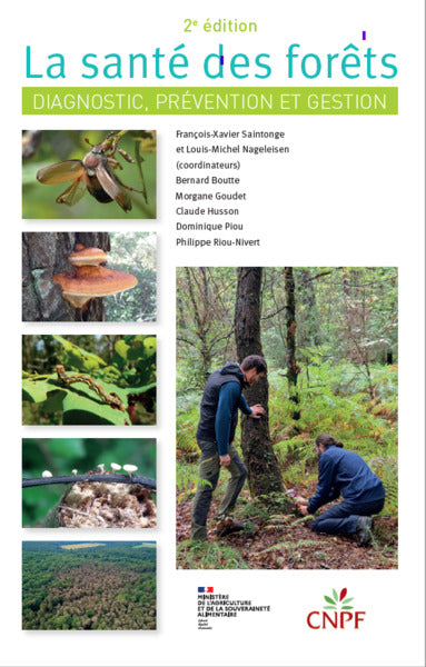 La santé des forêts