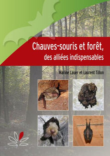 Chauves-souris et forêt
