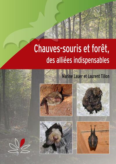 Chauves-souris et forêt
