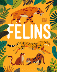 Félins