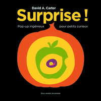 Surprise !
