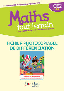 Maths tout terrain CE2: Fichier de différenciation