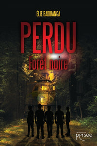 Perdu - Forêt noire