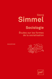 Sociologie. Études sur les formes de la socialisation