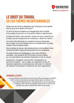 Le droit du travail en 250 thèmes incontournables