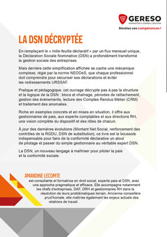 La DSN décryptée