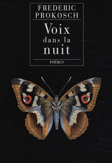Voix dans la nuit