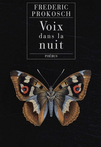 Voix dans la nuit