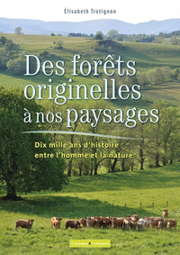 Des forêts originelles à nos paysages