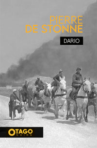 Pierre de Stonne