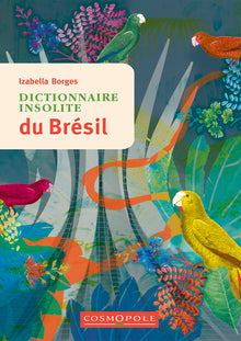 Dictionnaire insolite du Brésil