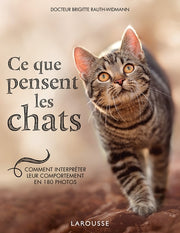 Ce que pensent les chats