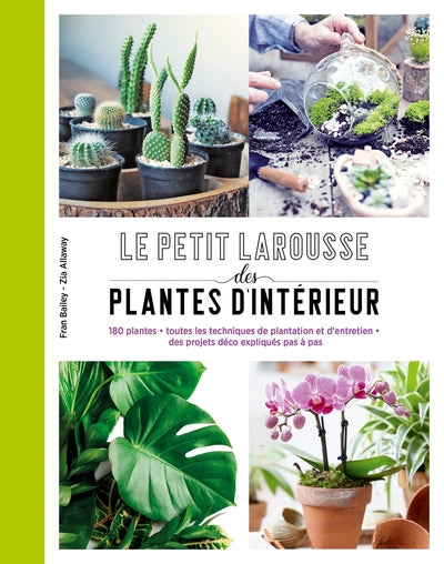 Petit Larousse des plantes d'intérieur