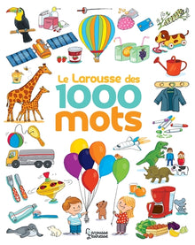 Le Larousse des 1 000 mots NE