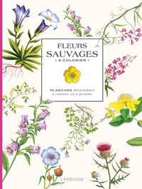 Fleurs sauvages à colorier: Planches détachables à colorier ou à peindre