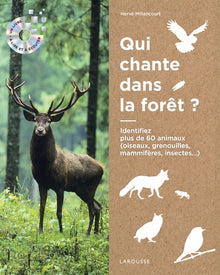 Ecoutons la forêt !