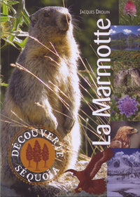 La Marmotte