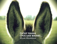 Ch'est toudis l'pus laid baudet... qui passe es tiête pa-dzeur l'haïure