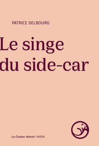 Le singe du side car