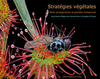 Stratégies végétales, petits arrangements et grandes manœuvres