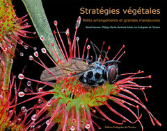 Stratégies végétales, petits arrangements et grandes manœuvres