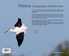 Oiseaux entre garrigues et Méditerranée