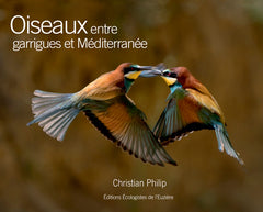 Oiseaux entre garrigues et Méditerranée
