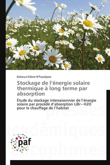 Stockage de l'énergie solaire thermique à long terme par absorption