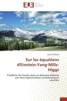 Sur les équations d'einstein-yang-mills-higgs