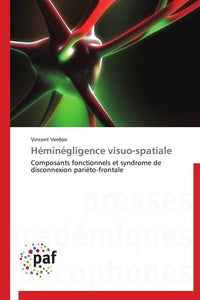 Héminégligence visuo-spatiale