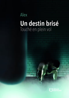 Un destin brisé - Touché en plein vol