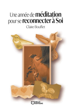Une année de méditation pour se reconnecter à Soi