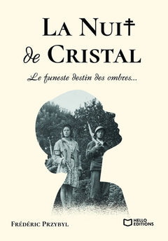 La Nuit de Cristal - Le funeste destin des ombres...