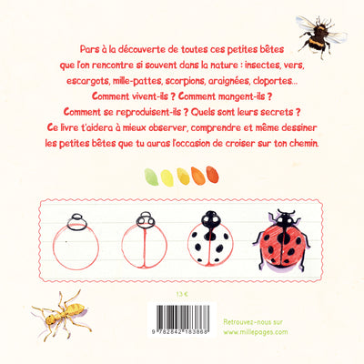 Je découvre les petites bêtes: Et j'apprends à les reconnaître