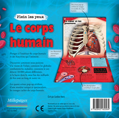 Le corps humain