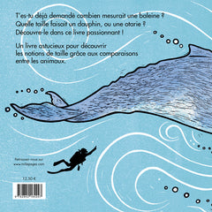 Combien mesure une baleine ?