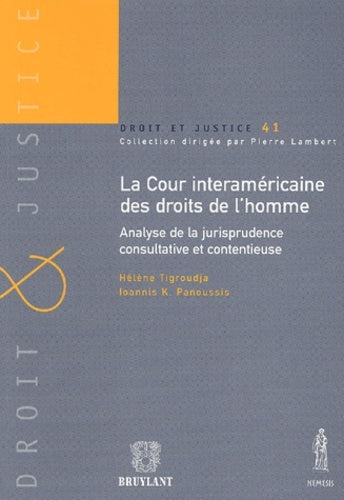 La Cour interaméricaine des droits de l'homme