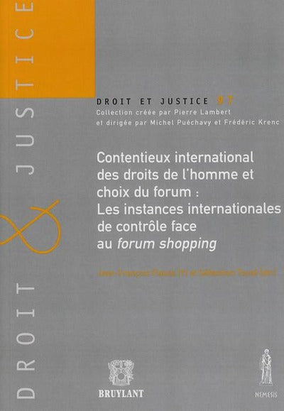 Contentieux international des droits de l'homme et choix du forum : les instances