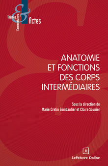 Anatomie et fonctions des corps intermédiaires