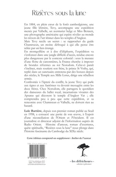 Rizières sous la lune